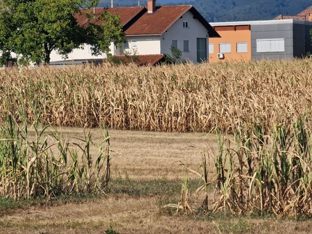 Posledice suše in prijava škode; foto arhiv Občine Domžale